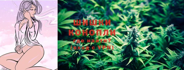 PSILOCYBIN Сафоново